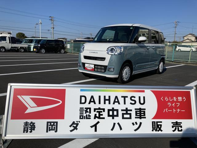 ムーヴキャンバス  ストライプス G