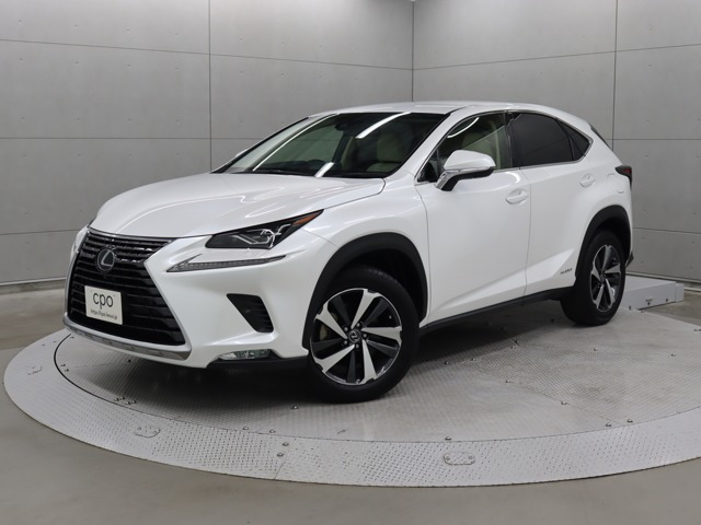 NX 300h Iパッケージ 