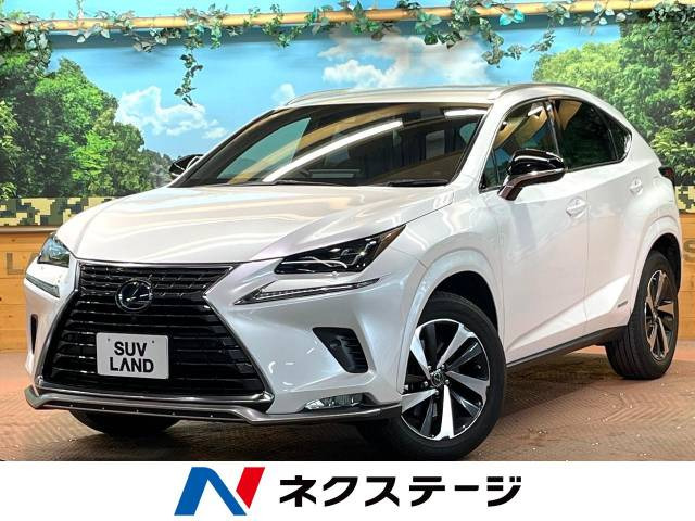 NX 300h スパイス&シック 