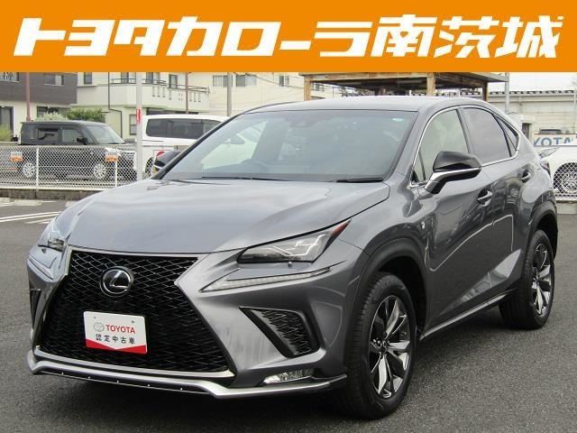 NX 300 Fスポーツ 