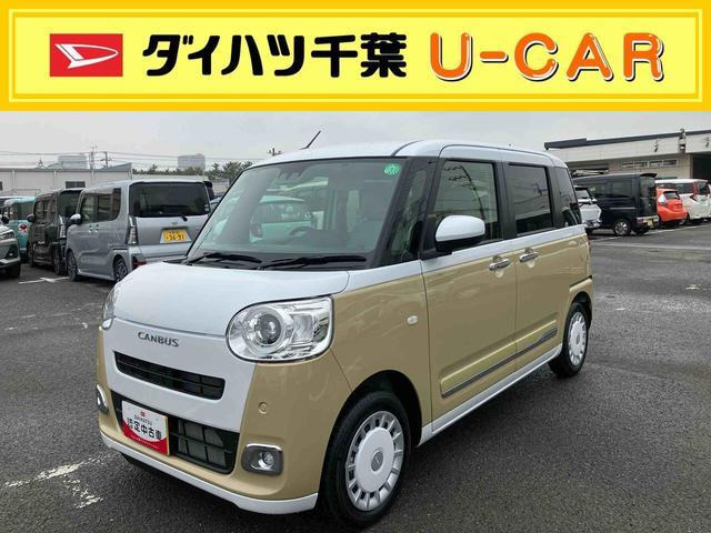 ムーヴキャンバス  ストライプス G