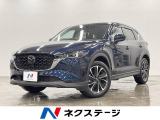 4WD 純正ナビ 全周囲カメラ 電動リアゲート ステアリングヒーター