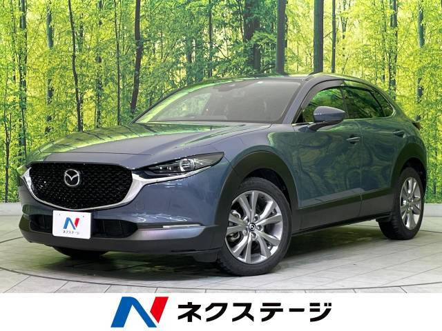 CX-30 2.0 20S プロアクティブ 