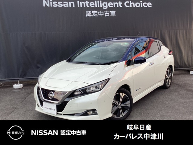 リーフ G 
