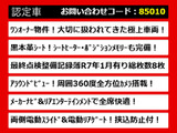 エルグランド 3.5 ライダー ブラックライン 黒本革シート 