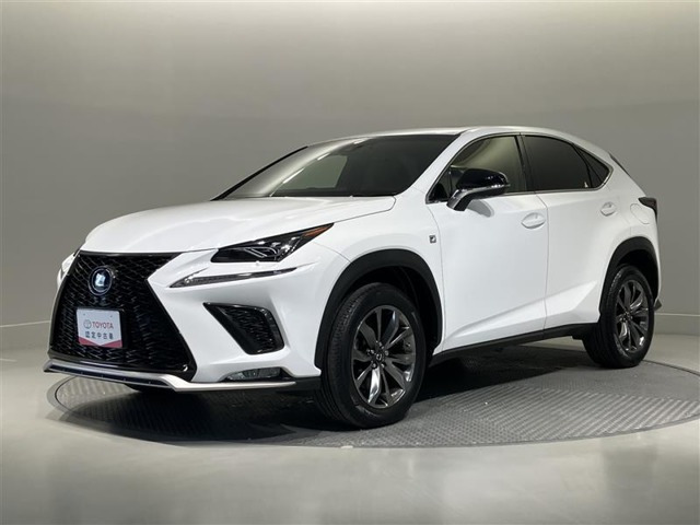 NX 300 Fスポーツ 4WD 