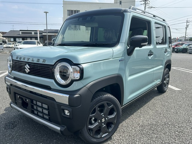 ハスラー タフワイルド 