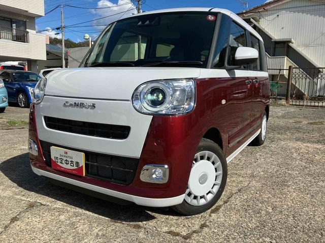 ムーヴキャンバス  ストライプス G