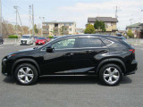 NX 300h バージョンL 