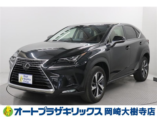 NX 300 Iパッケージ 