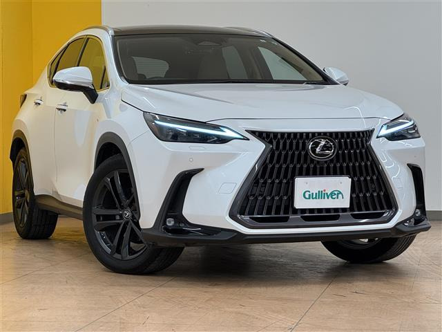 NX 250 バージョンL 本革シート サンルーフ