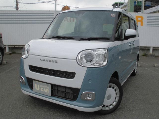 ムーヴキャンバス  ストライプス G