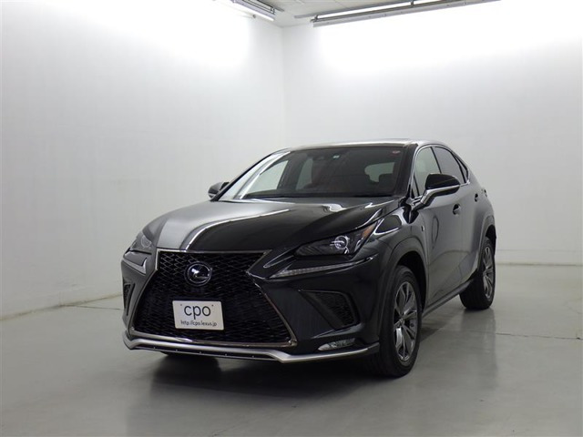 NX 300 Fスポーツ 