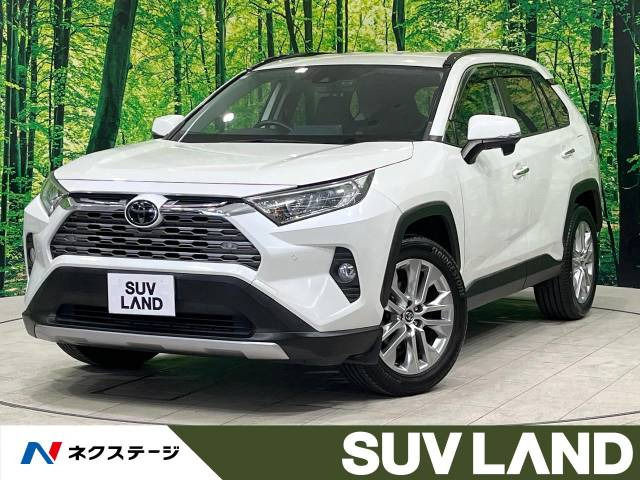 RAV4  G Zパッケージ