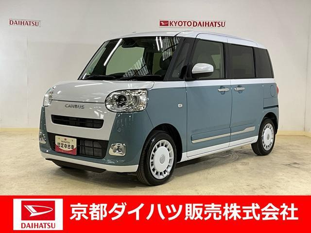 ムーヴキャンバス  ストライプス G