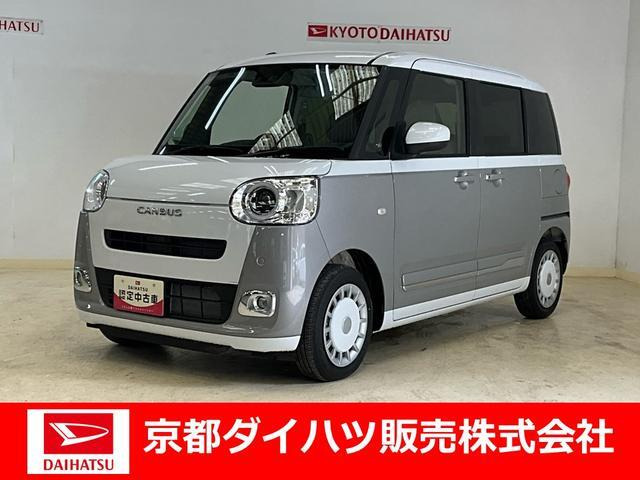 ムーヴキャンバス  ストライプス G