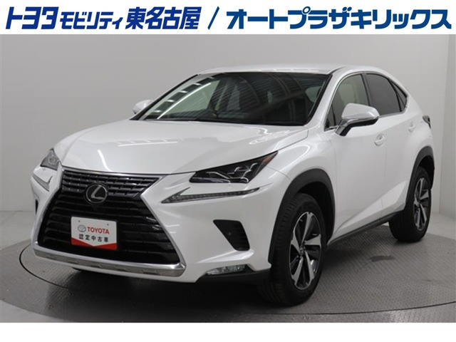 NX 300 バージョンL 