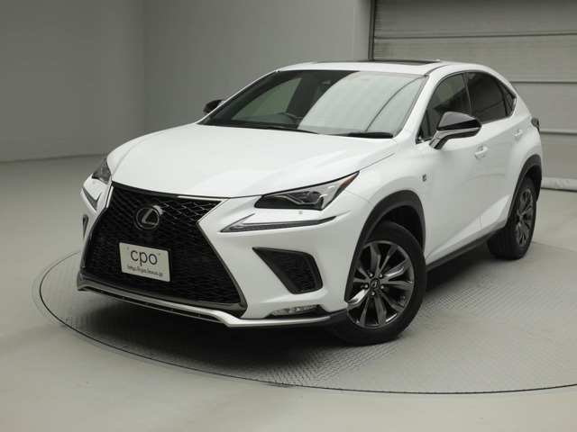 NX 300 Fスポーツ 