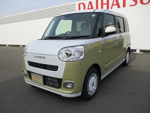 ムーヴキャンバス  ストライプス G