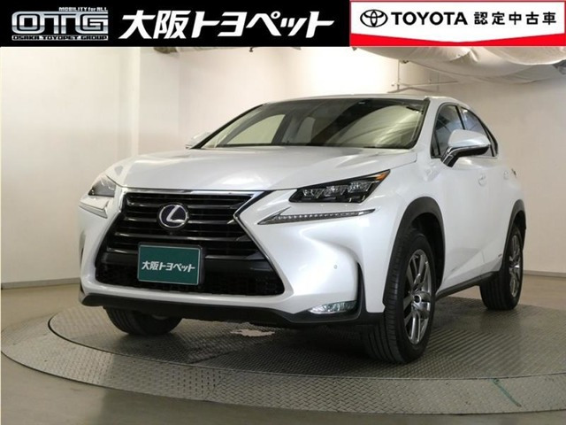 NX 300h Iパッケージ 