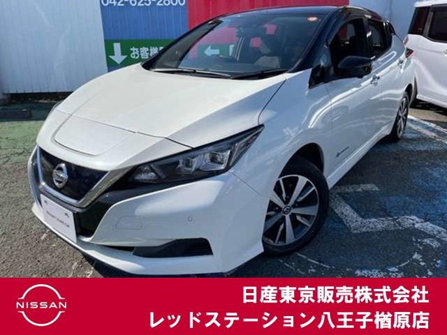 リーフ e+ X 