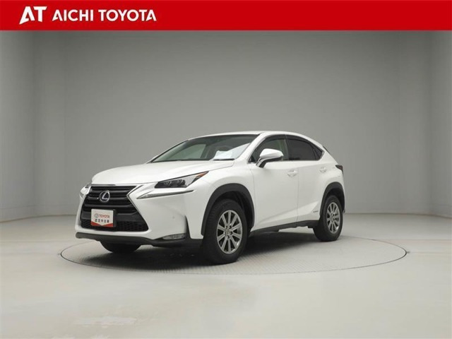 NX 300h Iパッケージ 