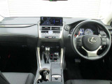 NX 300 