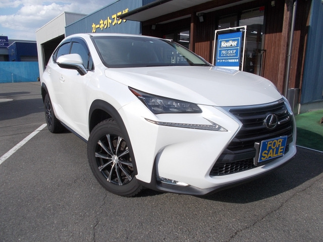 NX 200t Iパッケージ 