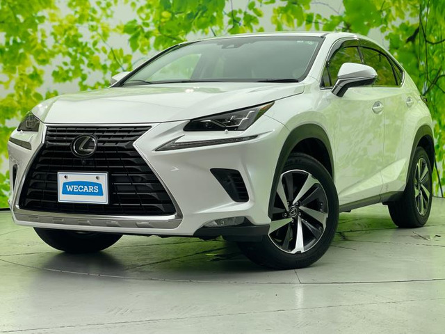 NX 300 Iパッケージ 4WD 