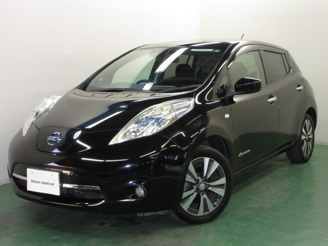 リーフ 30kWh G 