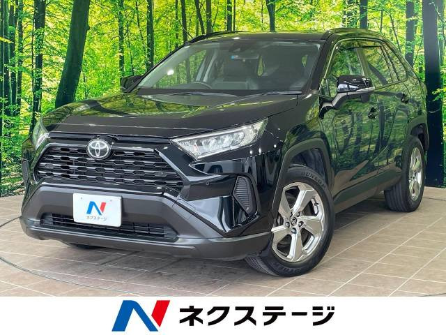 RAV4 2.0 X 
