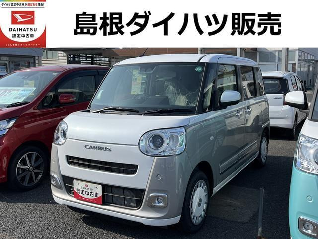 ムーヴキャンバス  ストライプス G
