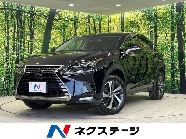 NX 300h バージョンL 