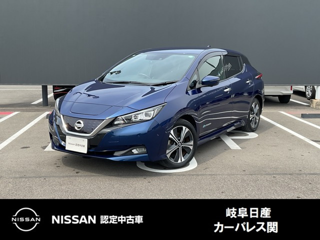 リーフ G 