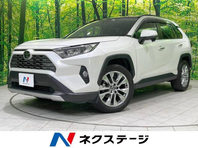RAV4  G Zパッケージ
