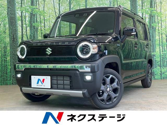 ハスラー タフワイルド 