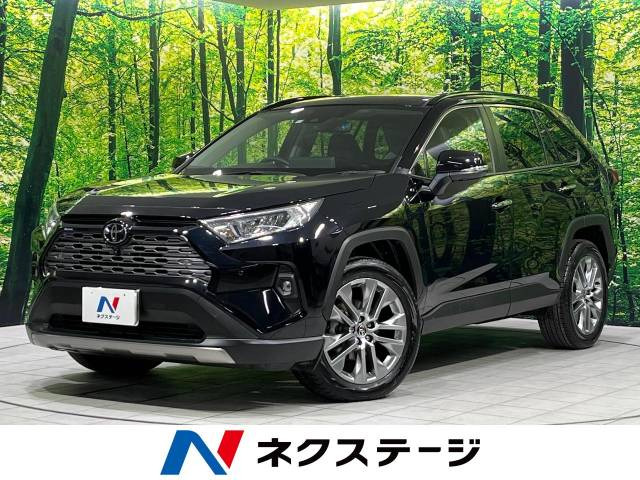 RAV4  G Zパッケージ