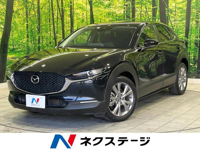 CX-30 2.0 20S 
