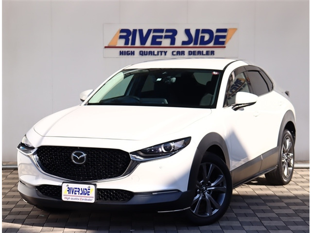 CX-30 2.0 X プロアクティブ ツーリングセレクション 純正SDナビ360カメラDVD再生地デジ