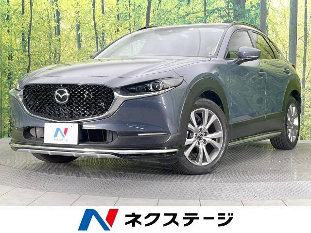 CX-30 2.0 20S Lパッケージ 