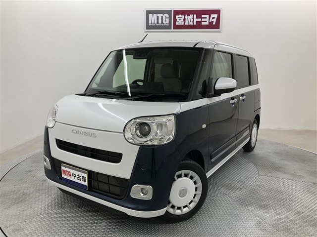 ムーヴキャンバス  ストライプス G