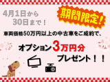 アルトラパン LC  L 
