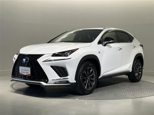 NX 300 Fスポーツ 4WD 