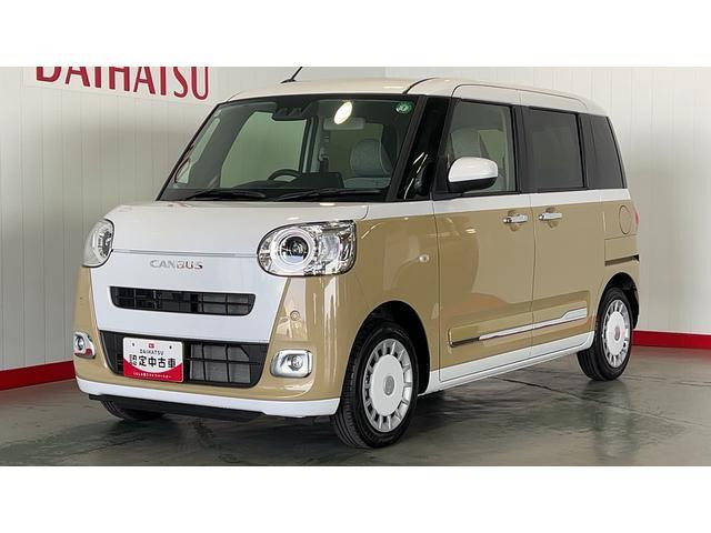 ムーヴキャンバス  ストライプス G