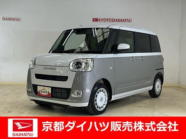 ムーヴキャンバス  ストライプス G