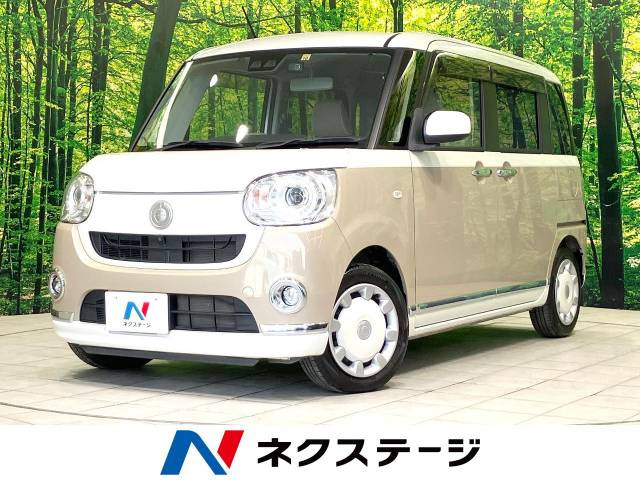 ムーヴキャンバス G メイクアップ リミテッド SAIII 