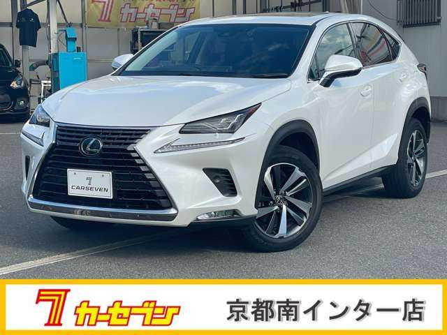 NX 300 Iパッケージ 
