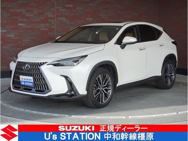 NX 250 バージョンL NX 250 バージョンL