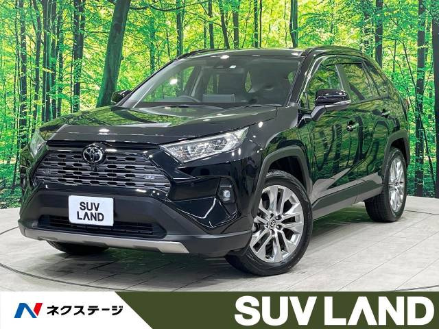 RAV4  G Zパッケージ