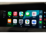 アップルカープレイお使い頂けます。